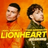 JOEL CORRY & TOM GRENNAN