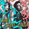 MIRAI & TRIBBS
