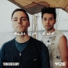 TOM GREGORY & VIZE
