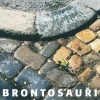 BRONTOSAUŘI