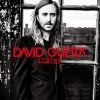 DAVID GUETTA & SAM MARTIN